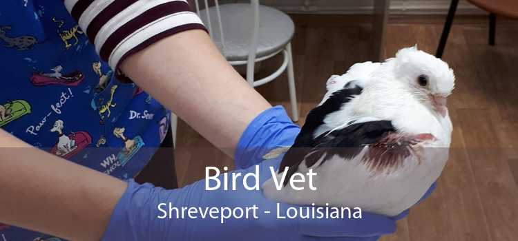 Bird Vet Shreveport - Louisiana