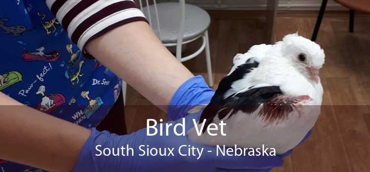Bird Vet South Sioux City - Nebraska