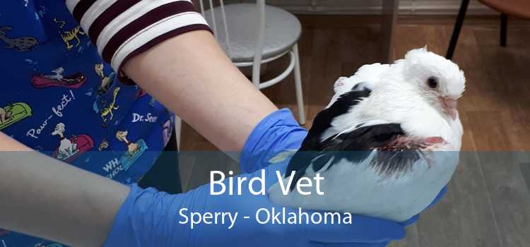 Bird Vet Sperry - Oklahoma