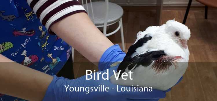 Bird Vet Youngsville - Louisiana