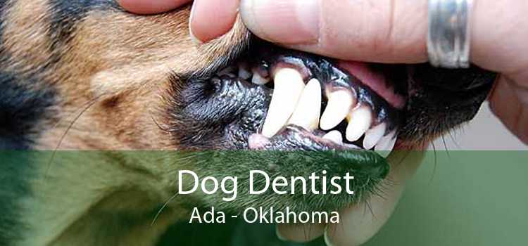 Dog Dentist Ada - Oklahoma
