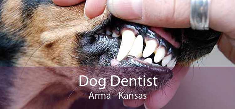 Dog Dentist Arma - Kansas