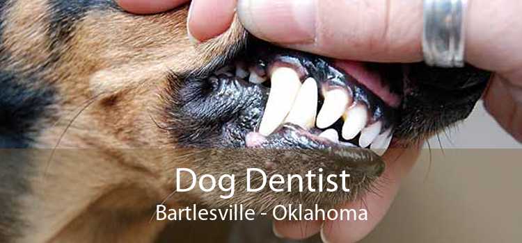 Dog Dentist Bartlesville - Oklahoma