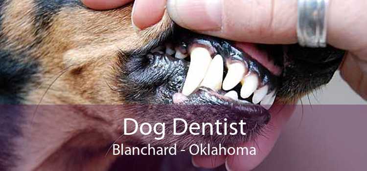 Dog Dentist Blanchard - Oklahoma