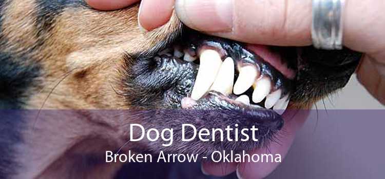 Dog Dentist Broken Arrow - Oklahoma