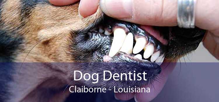 Dog Dentist Claiborne - Louisiana
