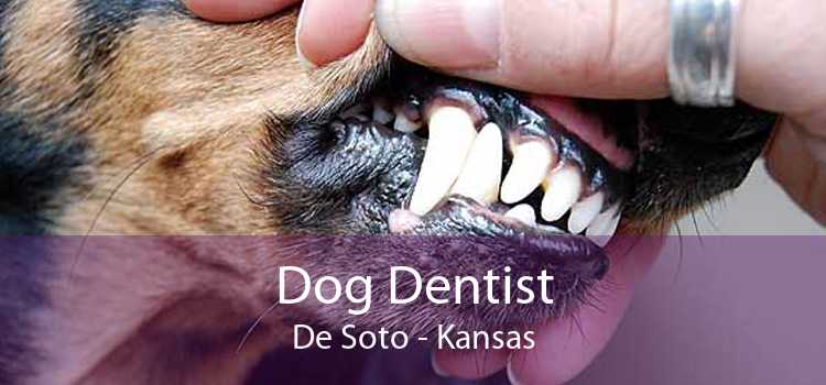 Dog Dentist De Soto - Kansas