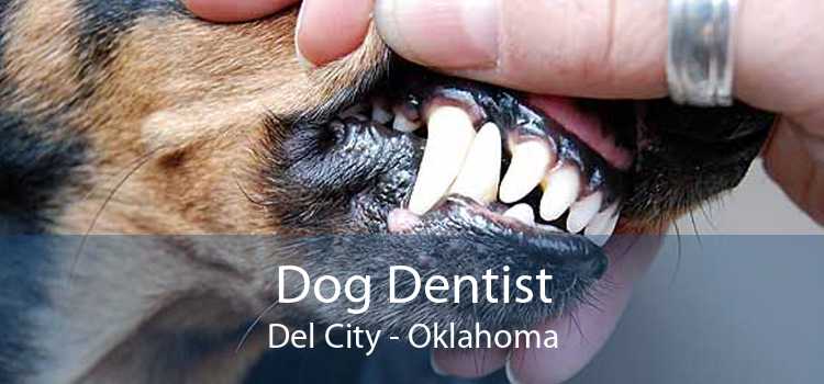 Dog Dentist Del City - Oklahoma
