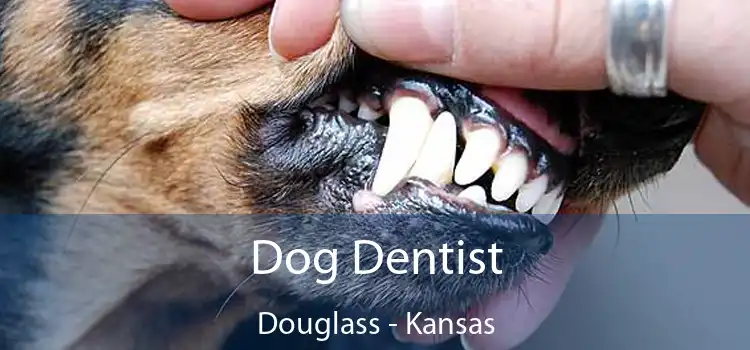 Dog Dentist Douglass - Kansas