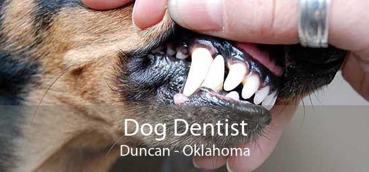 Dog Dentist Duncan - Oklahoma