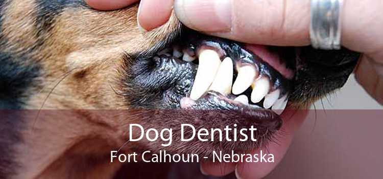 Dog Dentist Fort Calhoun - Nebraska