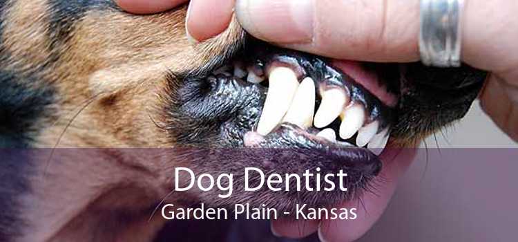 Dog Dentist Garden Plain - Kansas