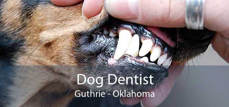 Dog Dentist Guthrie - Oklahoma