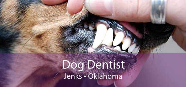 Dog Dentist Jenks - Oklahoma