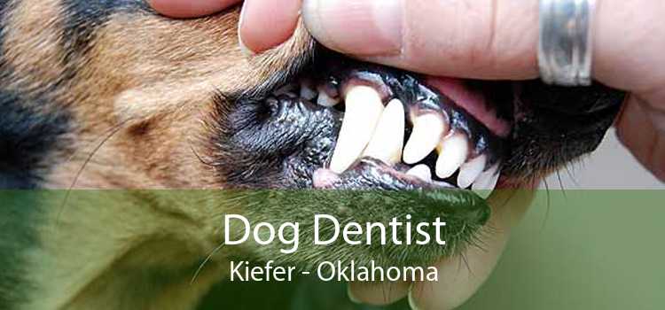 Dog Dentist Kiefer - Oklahoma