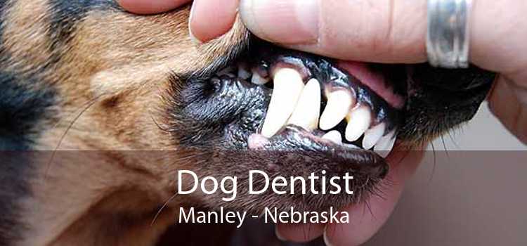 Dog Dentist Manley - Nebraska