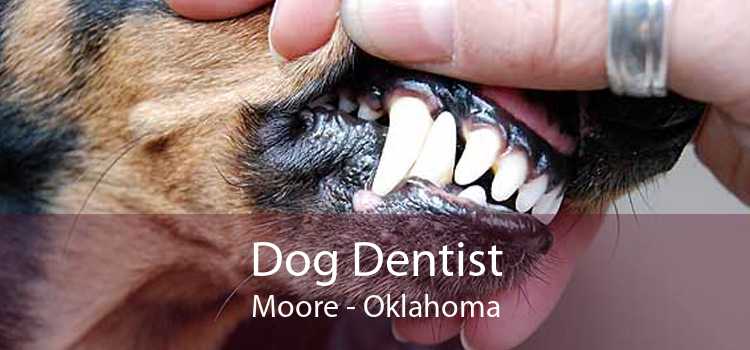 Dog Dentist Moore - Oklahoma