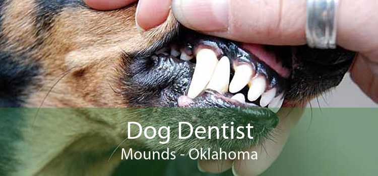 Dog Dentist Mounds - Oklahoma