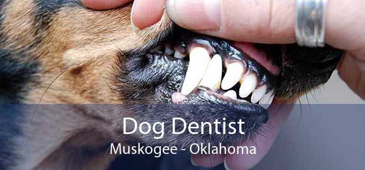 Dog Dentist Muskogee - Oklahoma