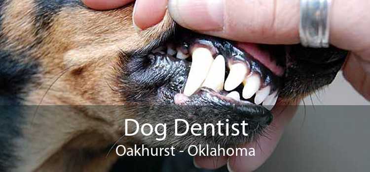 Dog Dentist Oakhurst - Oklahoma