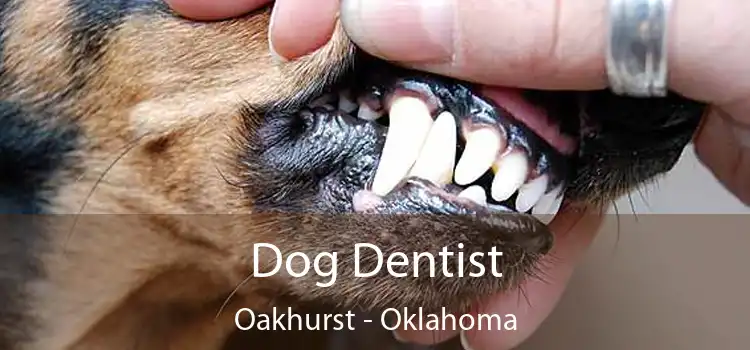 Dog Dentist Oakhurst - Oklahoma