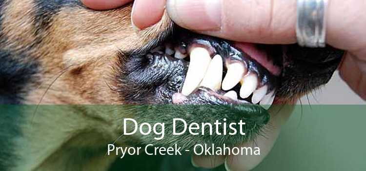 Dog Dentist Pryor Creek - Oklahoma