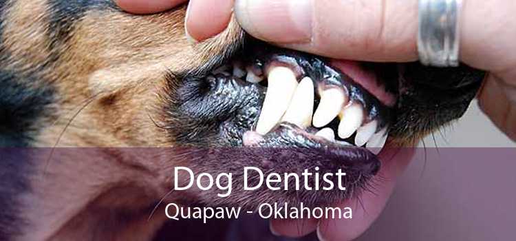 Dog Dentist Quapaw - Oklahoma