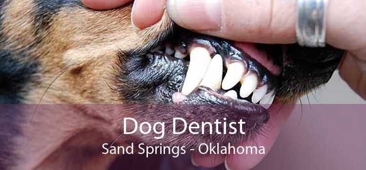 Dog Dentist Sand Springs - Oklahoma