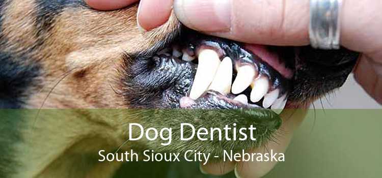 Dog Dentist South Sioux City - Nebraska