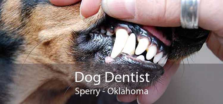 Dog Dentist Sperry - Oklahoma