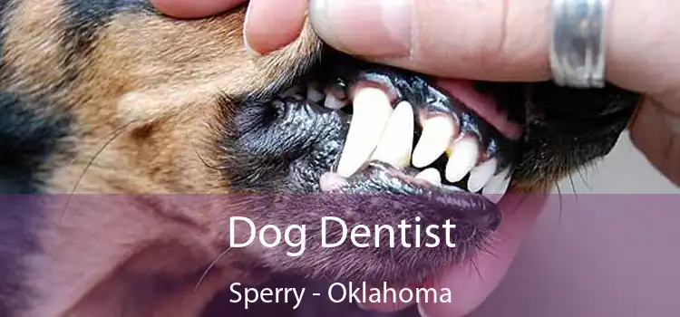 Dog Dentist Sperry - Oklahoma