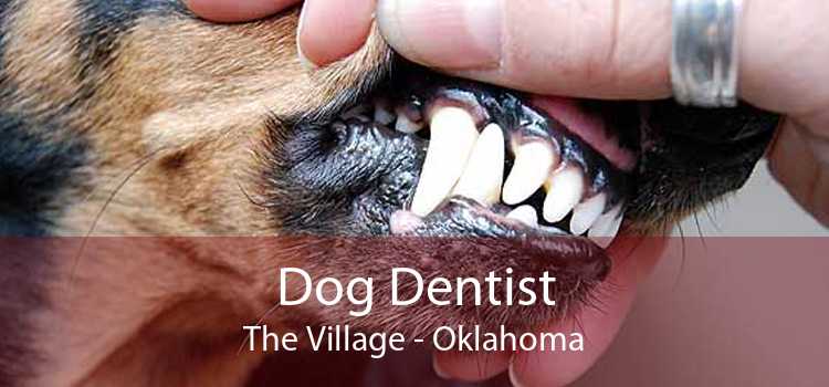 Dog Dentist The Village - Oklahoma