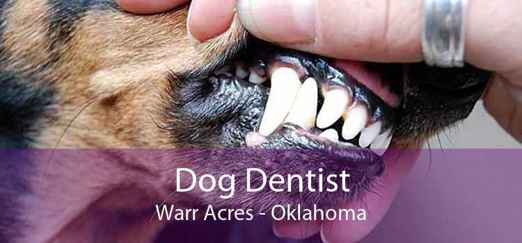 Dog Dentist Warr Acres - Oklahoma