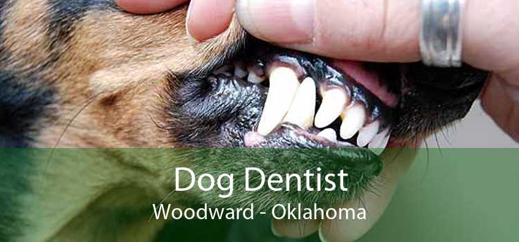 Dog Dentist Woodward - Oklahoma