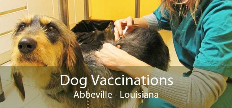Dog Vaccinations Abbeville - Louisiana