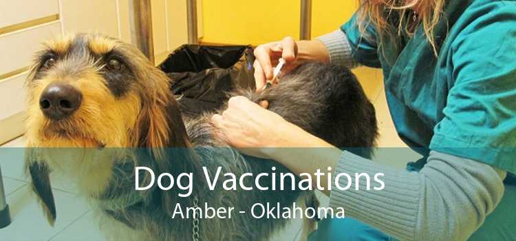 Dog Vaccinations Amber - Oklahoma