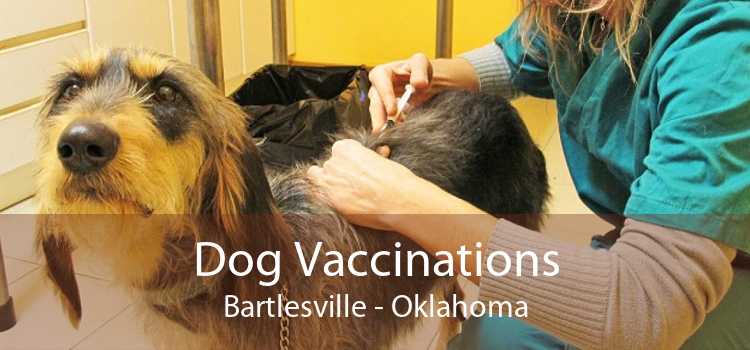 Dog Vaccinations Bartlesville - Oklahoma
