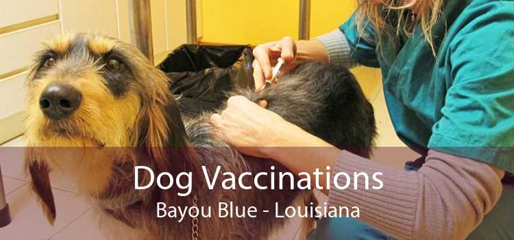 Dog Vaccinations Bayou Blue - Louisiana