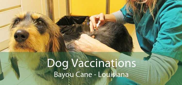 Dog Vaccinations Bayou Cane - Louisiana