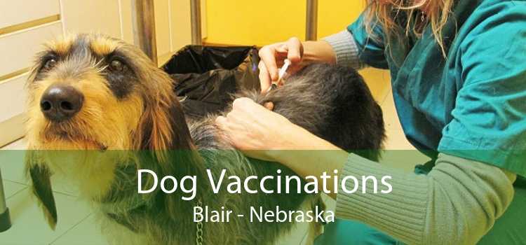 Dog Vaccinations Blair - Nebraska