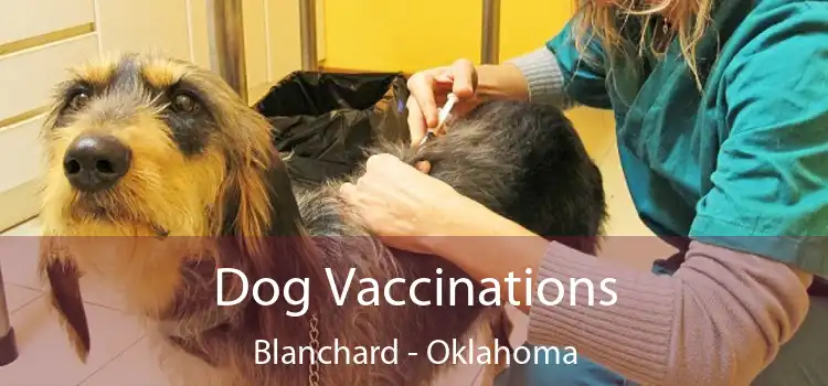 Dog Vaccinations Blanchard - Oklahoma