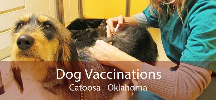 Dog Vaccinations Catoosa - Oklahoma