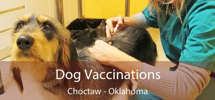 Dog Vaccinations Choctaw - Oklahoma