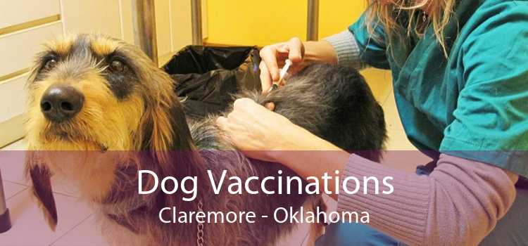 Dog Vaccinations Claremore - Oklahoma