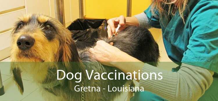 Dog Vaccinations Gretna - Louisiana