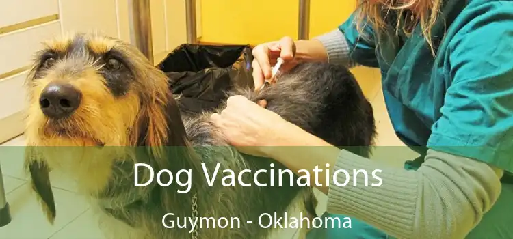 Dog Vaccinations Guymon - Oklahoma