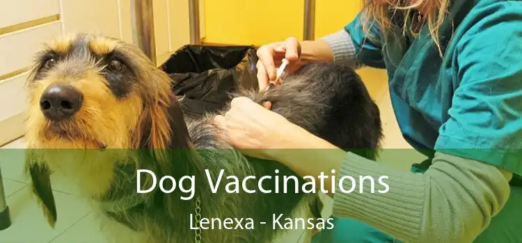 Dog Vaccinations Lenexa - Kansas