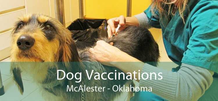 Dog Vaccinations McAlester - Oklahoma