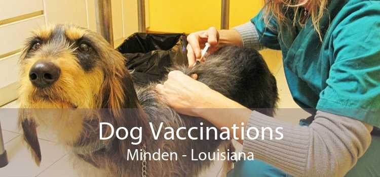 Dog Vaccinations Minden - Louisiana