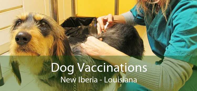 Dog Vaccinations New Iberia - Louisiana